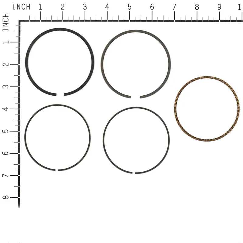 Briggs & Stratton - 843806 - RING SET