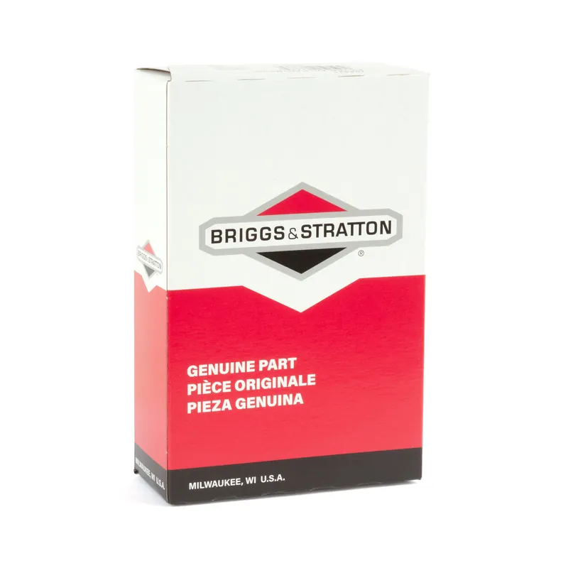 Briggs & Stratton - 794421 - Air Filter