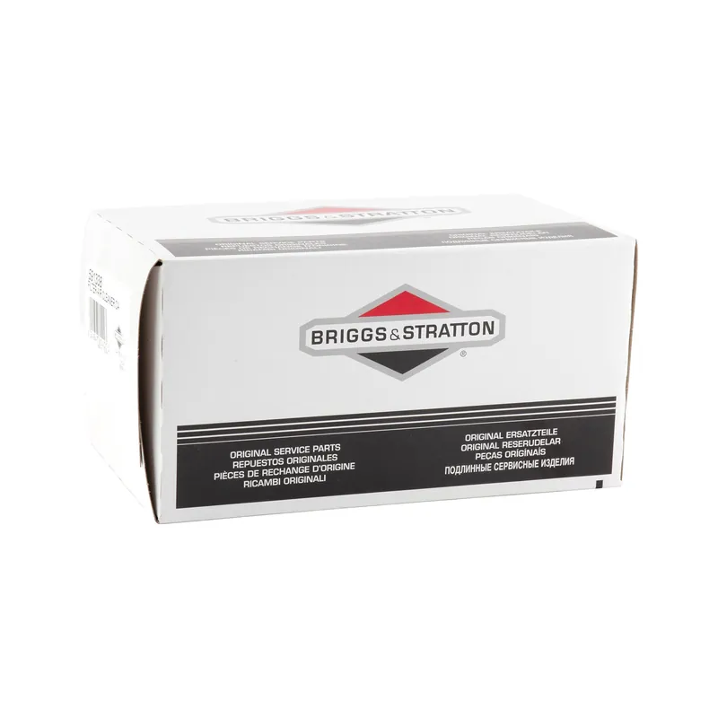 Briggs & Stratton - 591338 - Air Filter