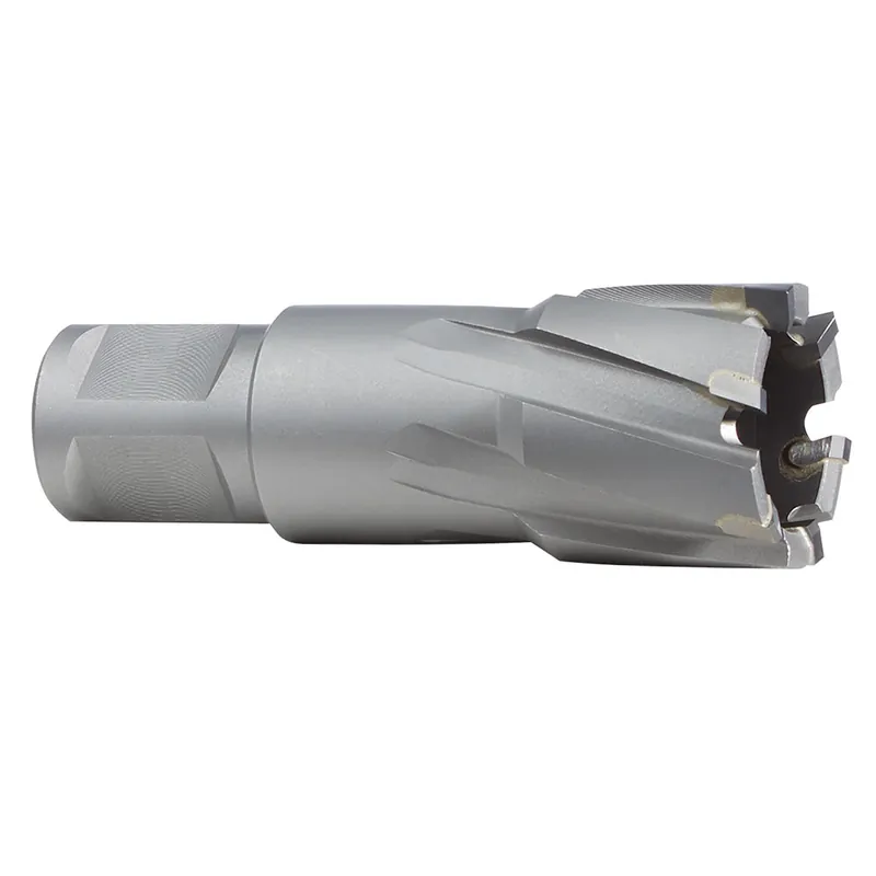 Milwaukee Electric 1-3/8" Tct Annu Cutr 2" D - MLW-49-59-4138