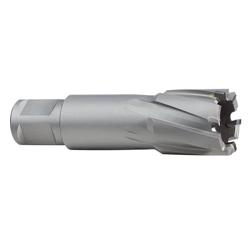 Milwaukee Electric 13/16" Tct Annu Cutr 2" D - MLW-49-59-4081