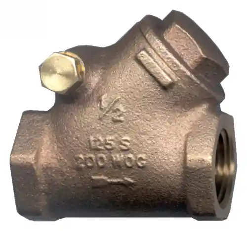 Swing Check Y Valve; 1 FPT