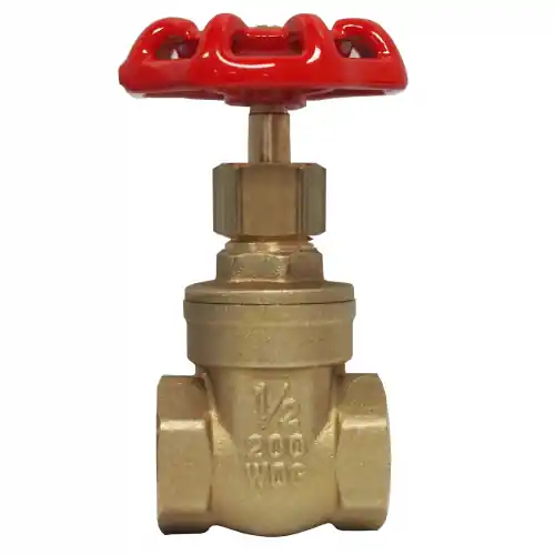Gate Valve; 1/2 FPT