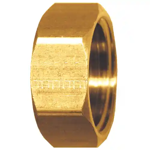 Solid Hex Cap Nut; FWH