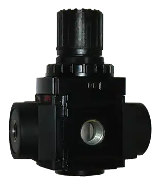 Air Pressure Reg; 1/4NPT