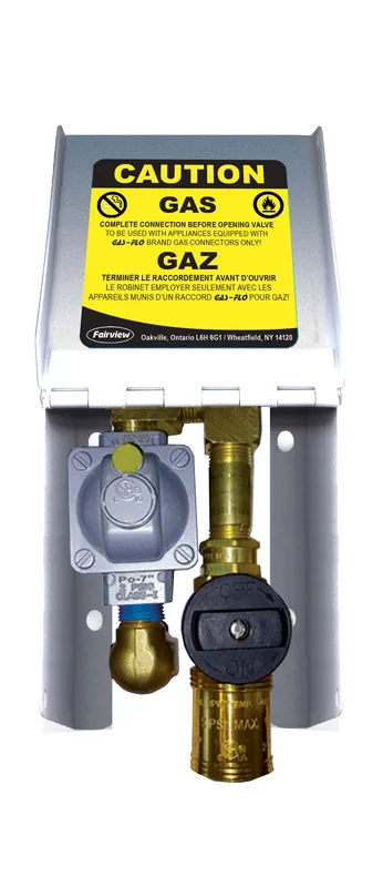 2LB Natural Gas Connctn; BV+QD; SS White Cover