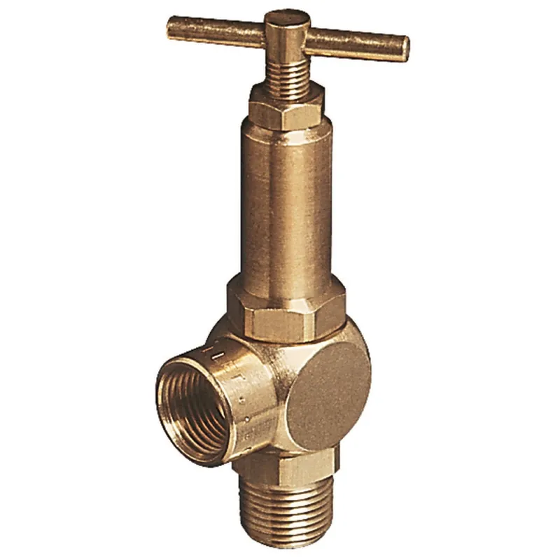 TEEJET 110-3/8 700 PSI Pressure Relief/ Reg Valve AA110-3/8-700