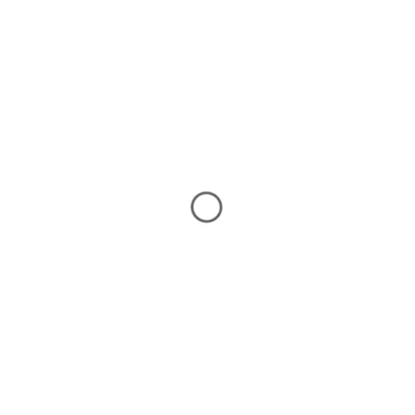 SATAjet 20 B 8 x 1 O-Ring