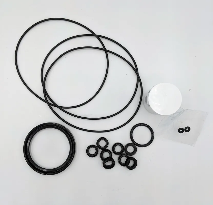 Fillon Technologies EYYY1030 Replacement Seals Kit