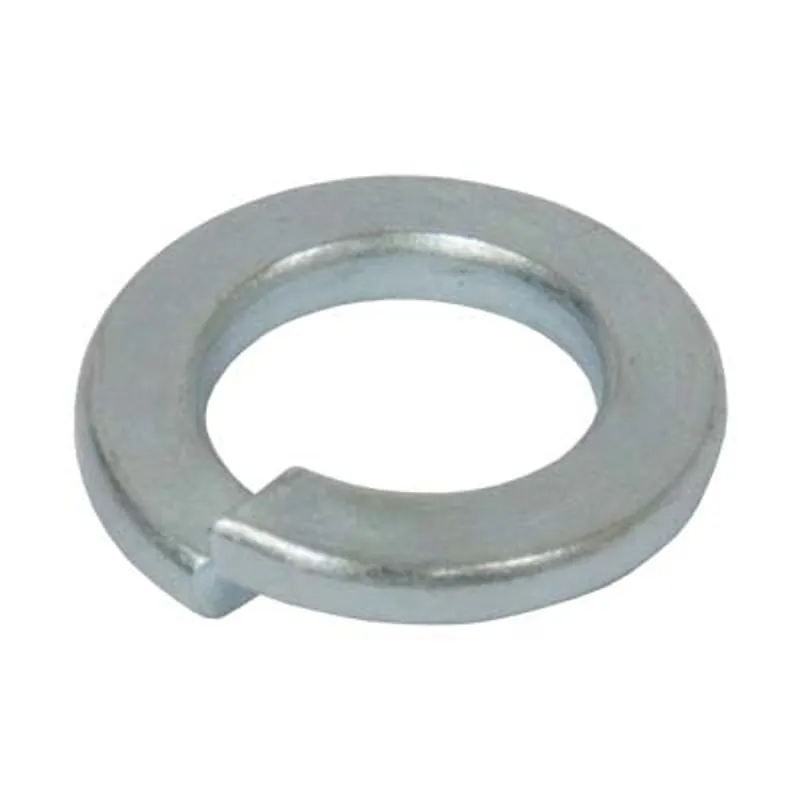 Pirate Brand - Valve, Combination II, Spring Washer (4 REQUIRED)