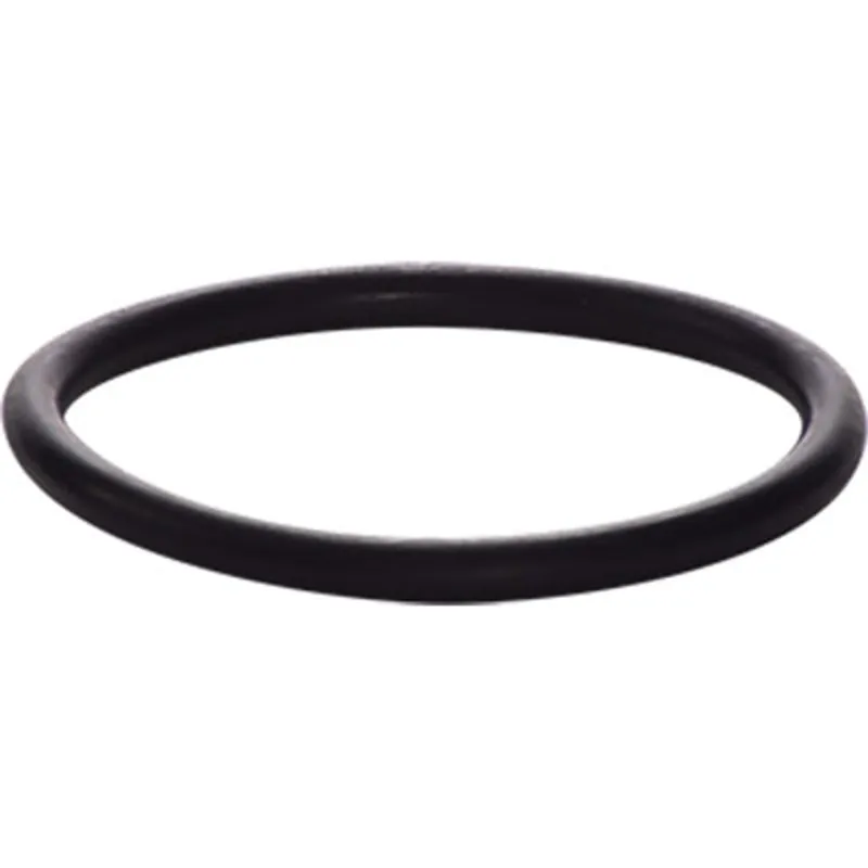 Pirate Brand - BULLARD®, Free Air Pump Outlet Filter, Assembly O-Ring