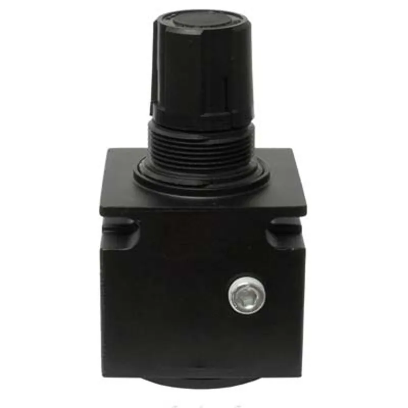 Pirate Brand - Universal Style, 1/2" Air Pressure Regulator