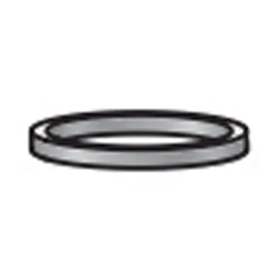 Binks 193665 Housing Seal