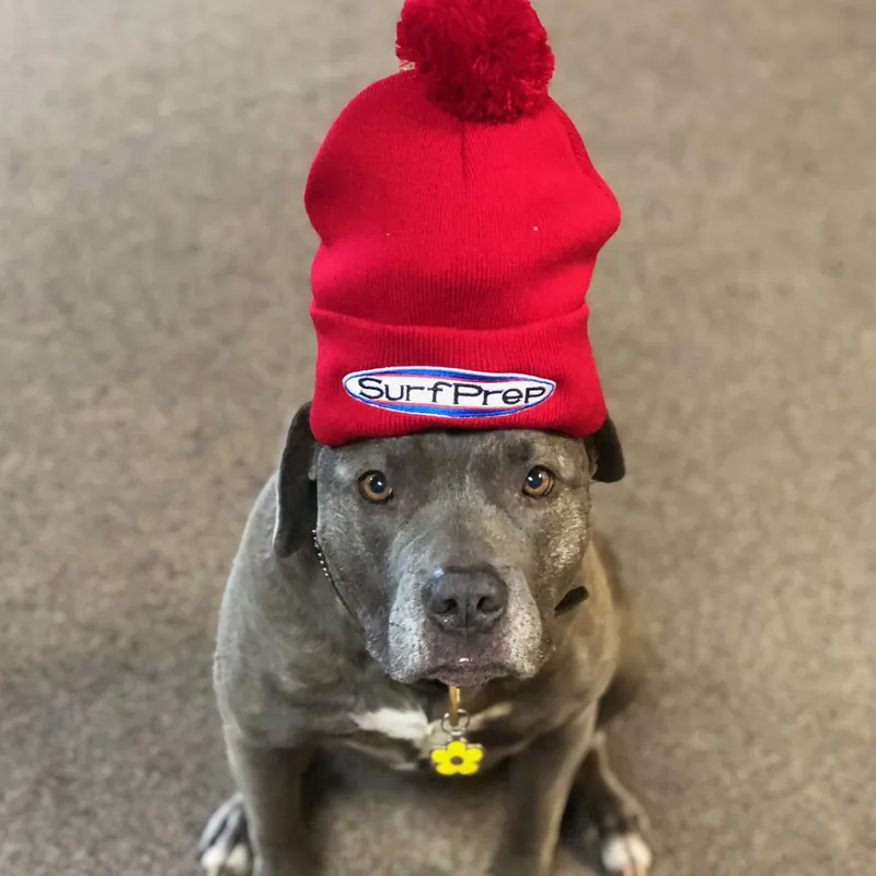 SurfPrep Beanies
