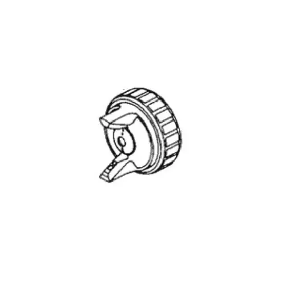 Anest Iwata LPH50/80 Air Cap Set