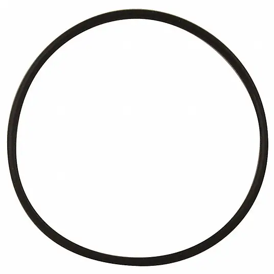 O-Ring (Wagner 9974106)