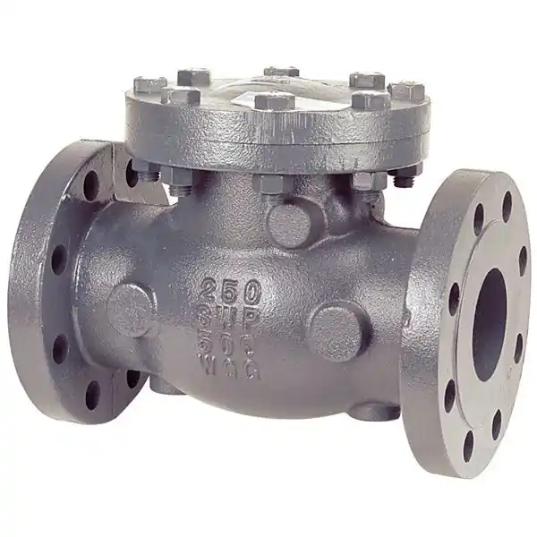 F-968-B 250 FLGD IB CHECK VALVE 2 1/2