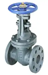 F-667-O 250 FLGD IB GATE VALVE 2