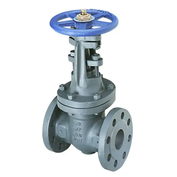 F-667-O 250 FLGD IB GATE VALVE 2 1/2