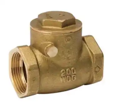 101-002NL 200 THD CHECK VALVE 3/8