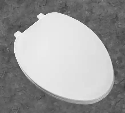 WHITE CLOSED FRONT ELONGATED W/ COVER