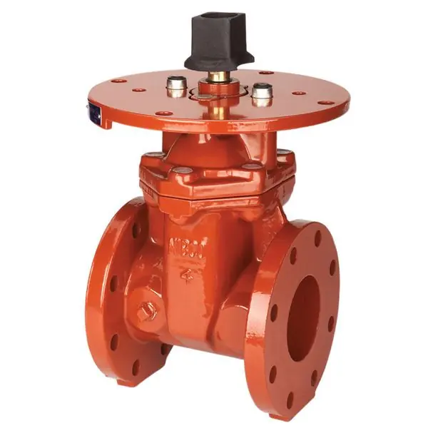 F609-RW 200 FLGD IB GATE VALVE 4