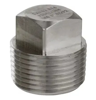 PLUG SS 304 SQ HD THD 150 4