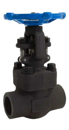 GATE VALVE 800 CS SW 2