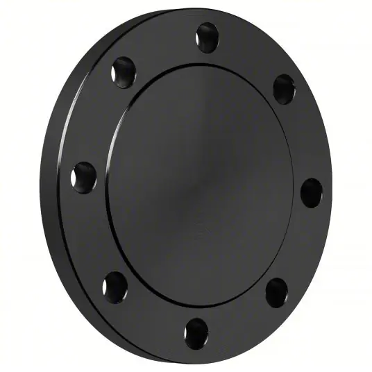 FLANGE 300 BLIND IMPORT 5 RAISED FACE
