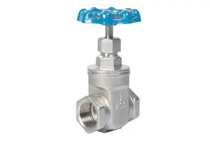 GATE VALVE 200 SS THD 1/2