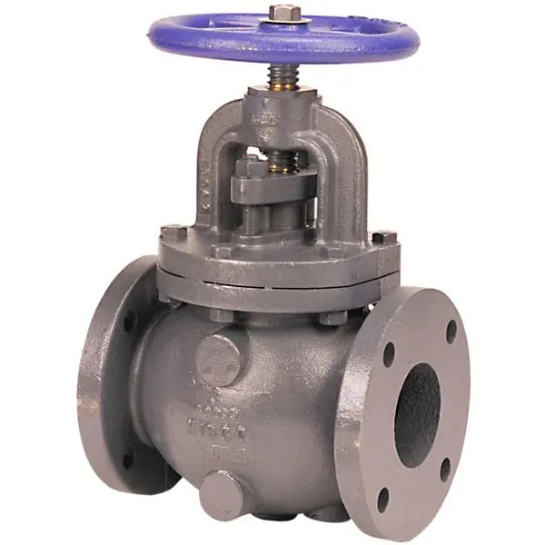 F-718-B 125 FLGD IB GLOBE VALVE 6