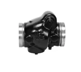 FIRE CHECK VALVE GROOVED 8