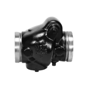 FIRE CHECK VALVE GROOVED 3