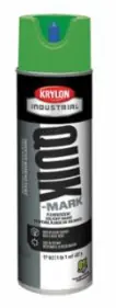 SPRAY PAINT FLOURESCENT GREEN