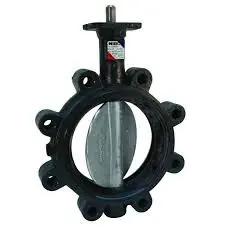 LD-3010-5 250 BUTTERFLY VALVE 6