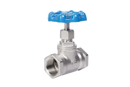 GLOBE VALVE 200 SS THD 1