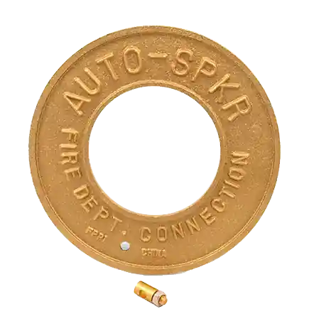 FDC WALL PLATE 4IPS X 10" BRASS