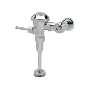 ZURN Z-6003-WS1-YB-YC EXPOSED FLUSH