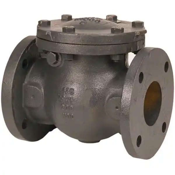 F-918-B 125 FLGD IB CHECK VALVE 6