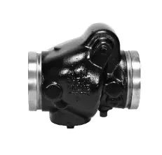 FIRE CHECK VALVE GROOVED 4
