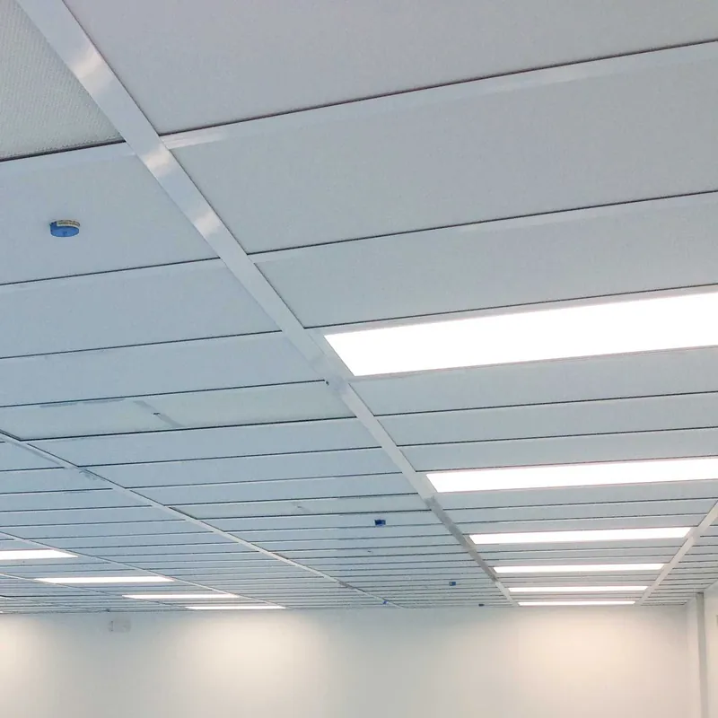 CleanPro® Vinyl Cleanroom Ceiling Tiles