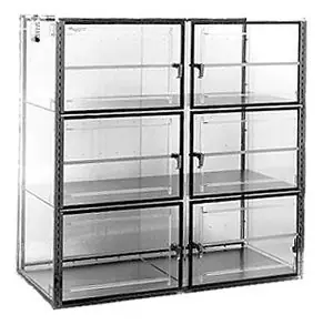 CleanPro® 5462 Dry Gas Desiccator Cabinet with Plenum Wall & 6 Chambers, 18" x 36" x 36"