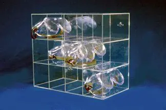CleanPro® AK-237 Acrylic Goggle Holder with 12 Slots, Clear, 8" x 14" x 12"