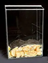 CleanPro® AK-790 Acrylic Accessory Bin, Clear, 6" x 12.5" x 17"