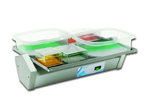 Benchmark Scientific BR1000 BenchBlotter™ Fixed Speed 2D Rocker, 12" x 12"