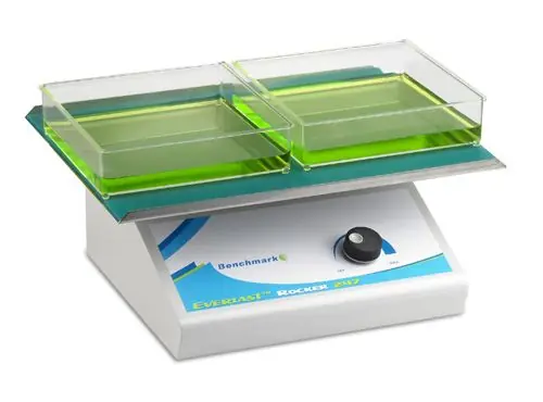 Benchmark Scientific BR5000 Everlast™ Heavy-Duty Variable Speed 2D Rocker, 12" x 16"