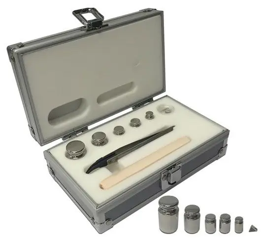 Benchmark Scientific W1101-6-100 Calibration Set for Accuris™ Analytical Balances, Class E2