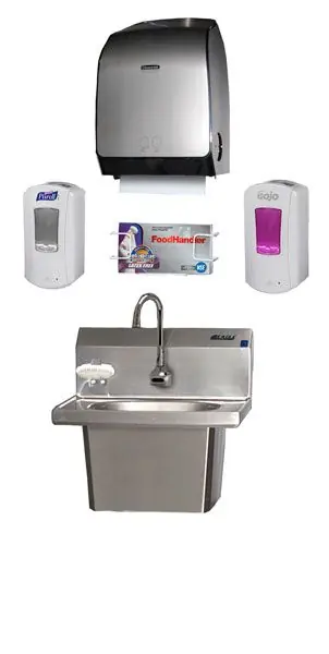 Eagle HFL-5000-S Touch-Free Hand Wash Sink with Skirt