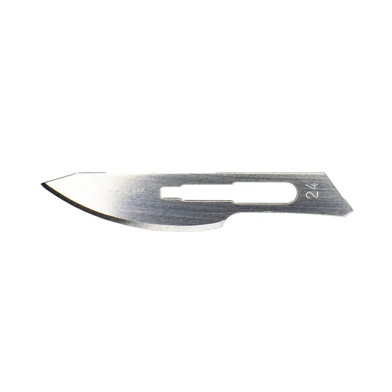 Excel Blades No. 24 Medical-Grade Stainless Steel Scalpel Blades, Pack of 2