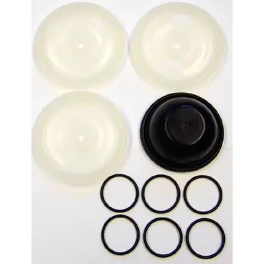 WHEELER-REX 36390 - Pump Repair Kit for 46800 , 468000